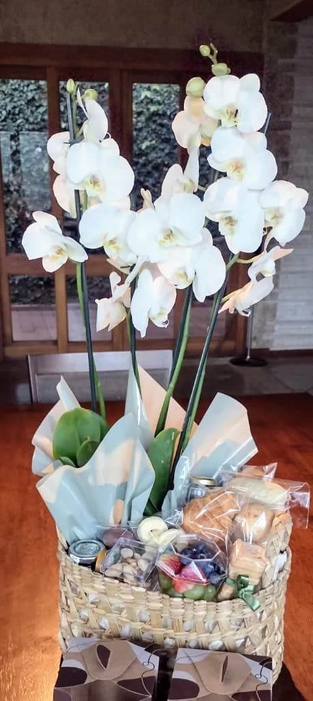 Orquídea G